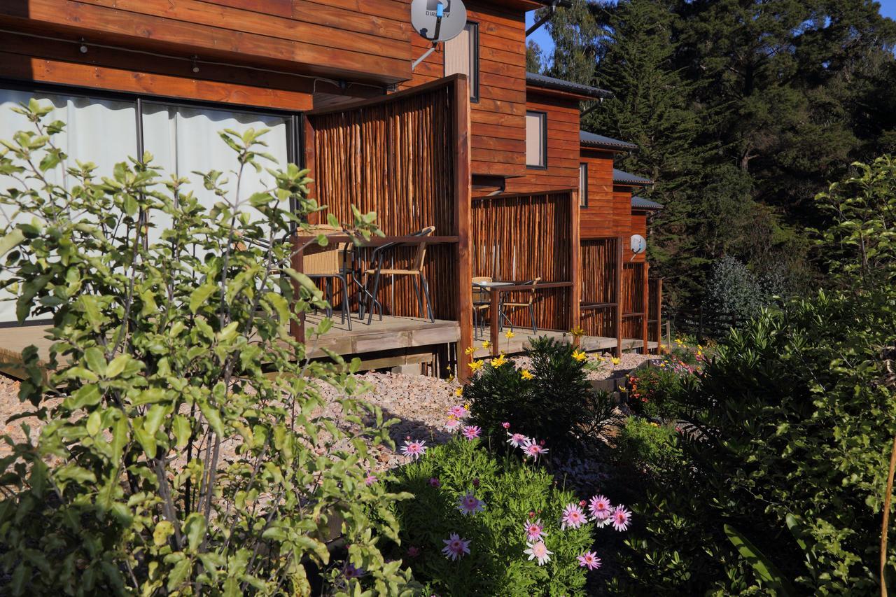 Cabanas Y Spa Costa Patagonia - Piscina Climatizada Pichilemu Exteriör bild